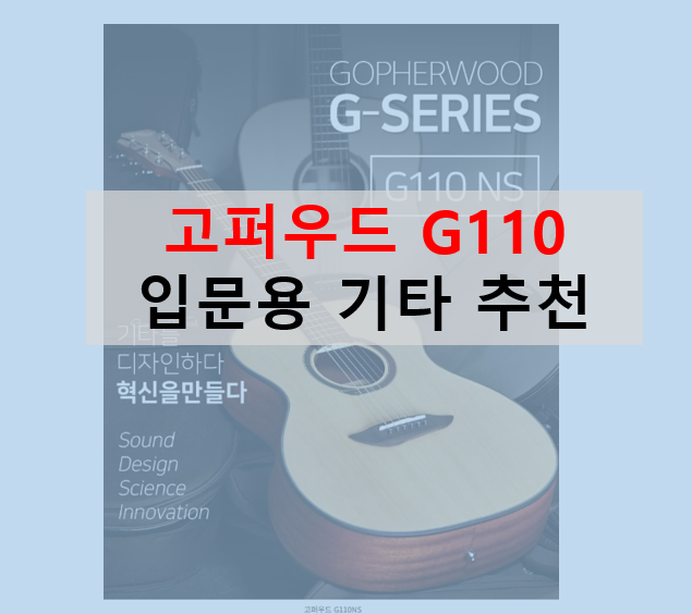 고퍼우드 G110 입문용 기타 추천