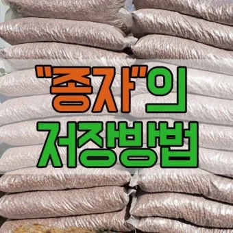 씨앗 저장법 건조 저온 밀봉 발아율 유지 교체 주기_28