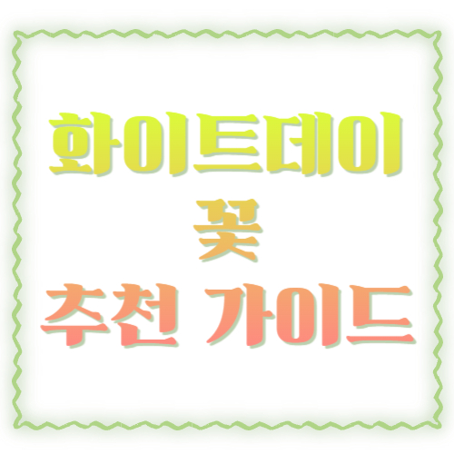 화이트데이 꽃 추천 가이드: 종류·색상·예산별 구성까지 실패 없이 고르는 법