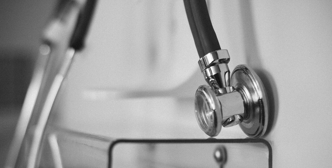 고양이 일반적 질병