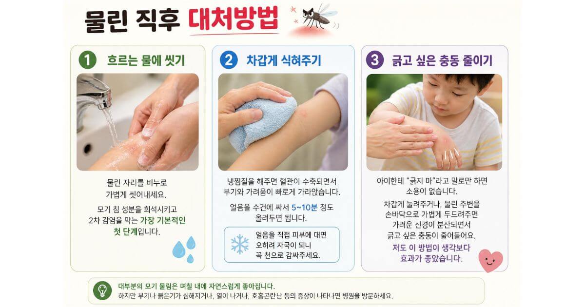 모기 물린 후 대처방법