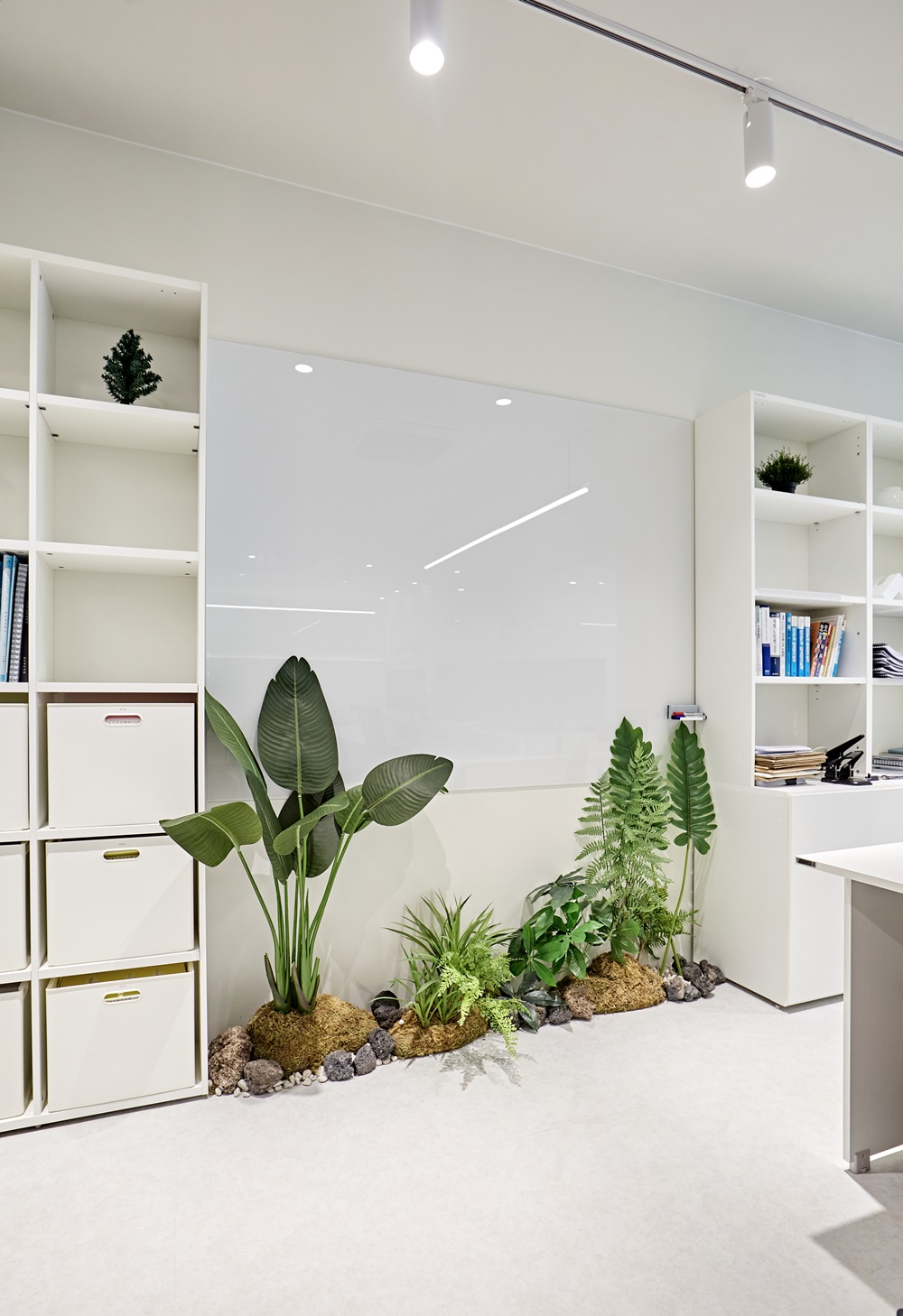 사무실식물인테리어