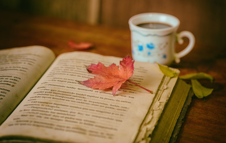 전자책 종류별 특징과 선택 가이드