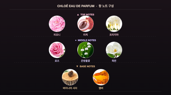 끌로에 오 드 퍼퓸 향 노트 구성 — Fragrantica 스타일 피라미드 (피오니/리치/프리지아 · 로즈/은방울꽃/목련 · 버지니아 시더/앰버)