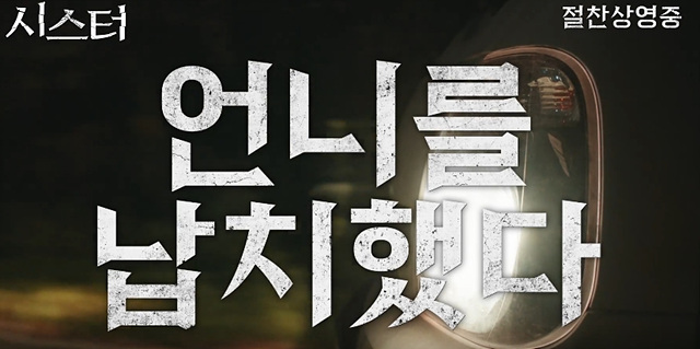 영화 시스터 쿠키영상 관람후기 - 정지소, 이수혁, 차주영