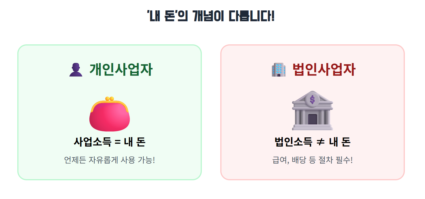개인과 법인의 가장 근본적인 자금 운용 철학의 차이를 시각적으로 명확하게 구분해 줘서, '가지급금'의 위험성을 독자에게 확실히 각인시키는 그림