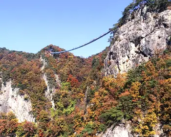 소금산 출렁다리_11