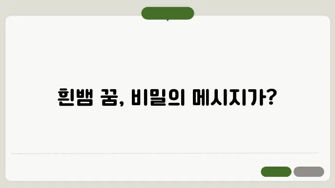 흰뱀의 다양한 해석