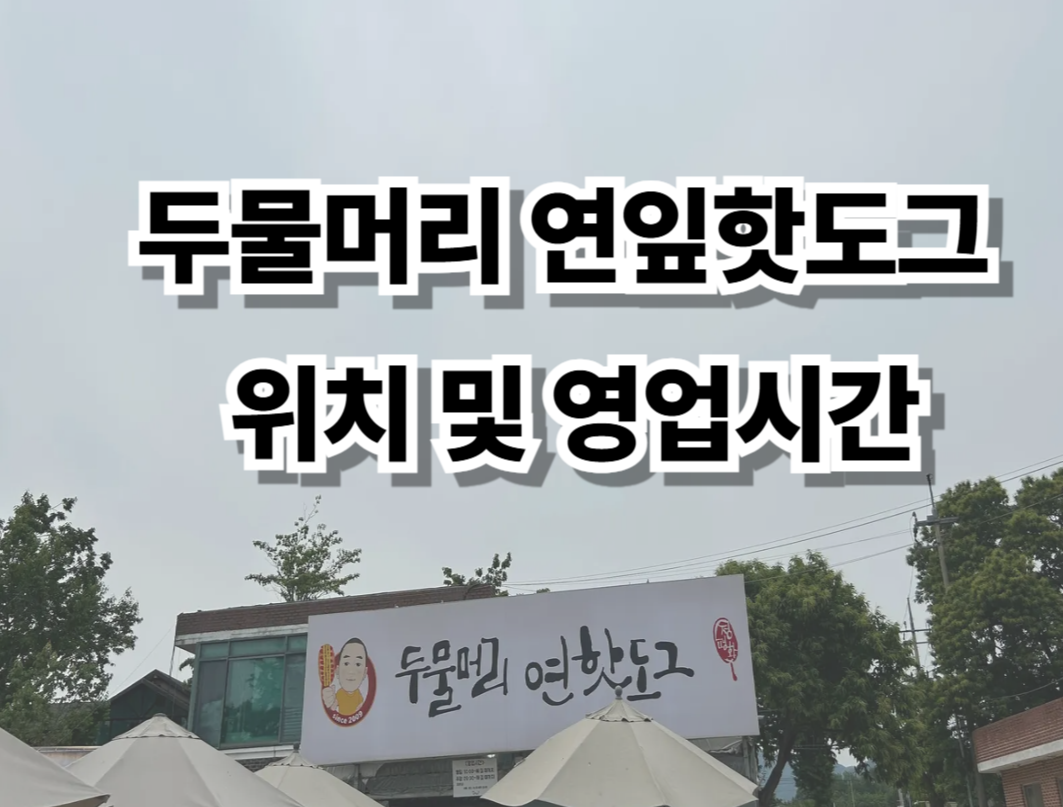 두물머리 연잎핫도그, 원조 위치와 영업시간, 주차정보