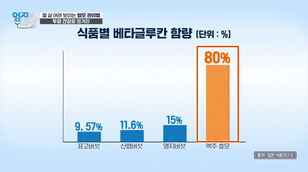 맥주효모의 효능