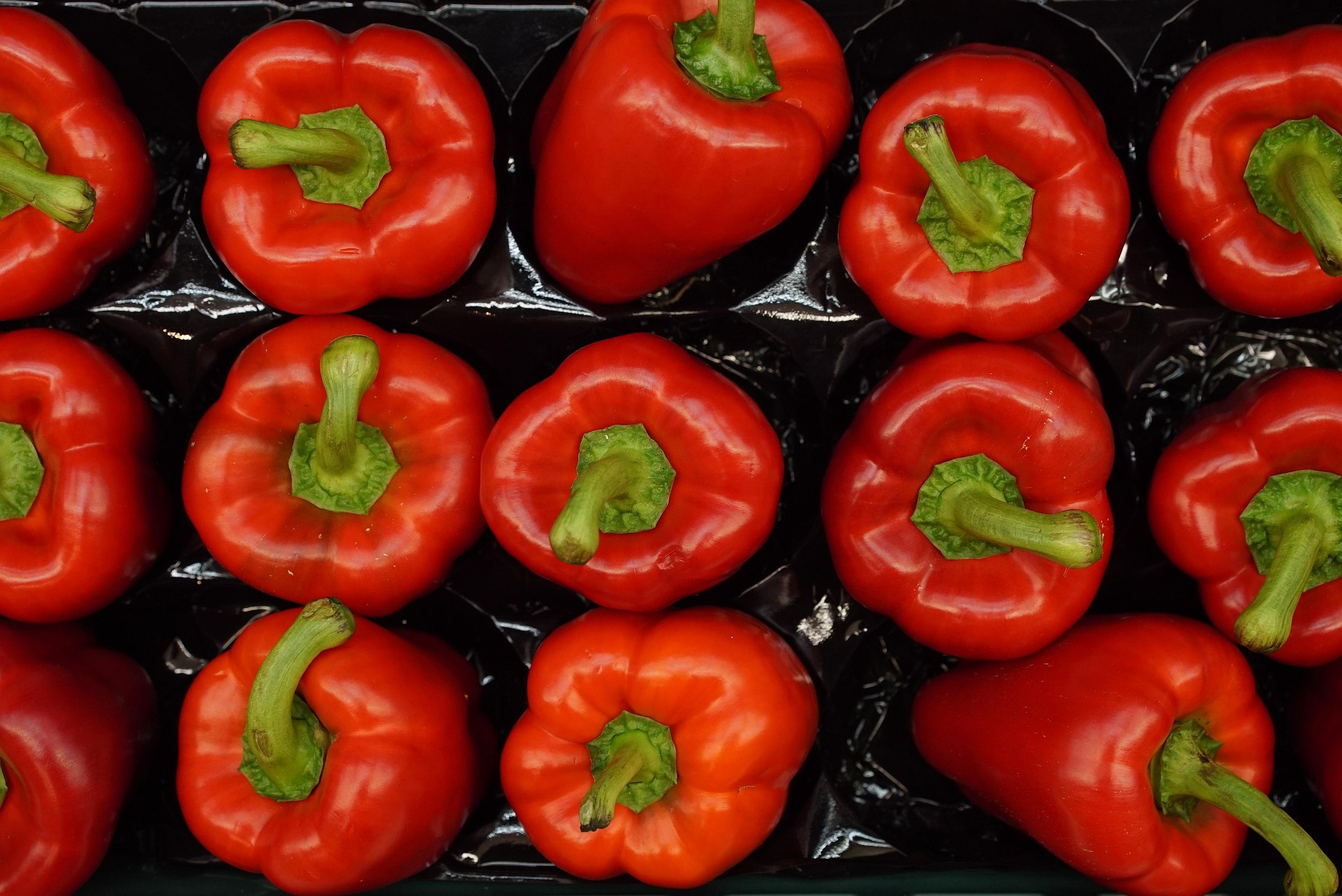 코스트코 회원가입 방법 총정리! 종류&amp;#44; 꿀팁까지 한눈에