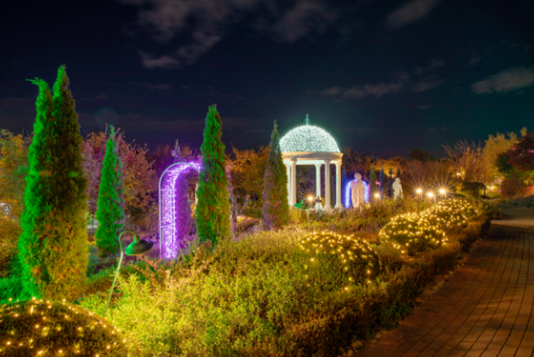 퍼스트가든 별빛축제