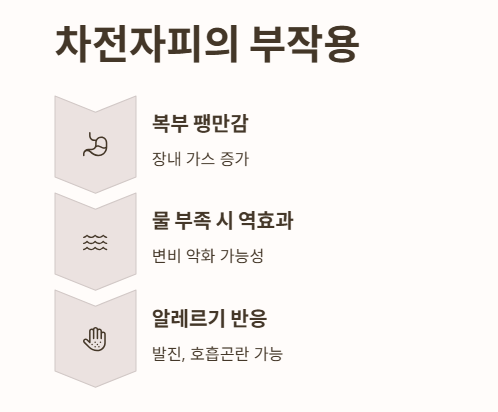 차전자피의 부작용