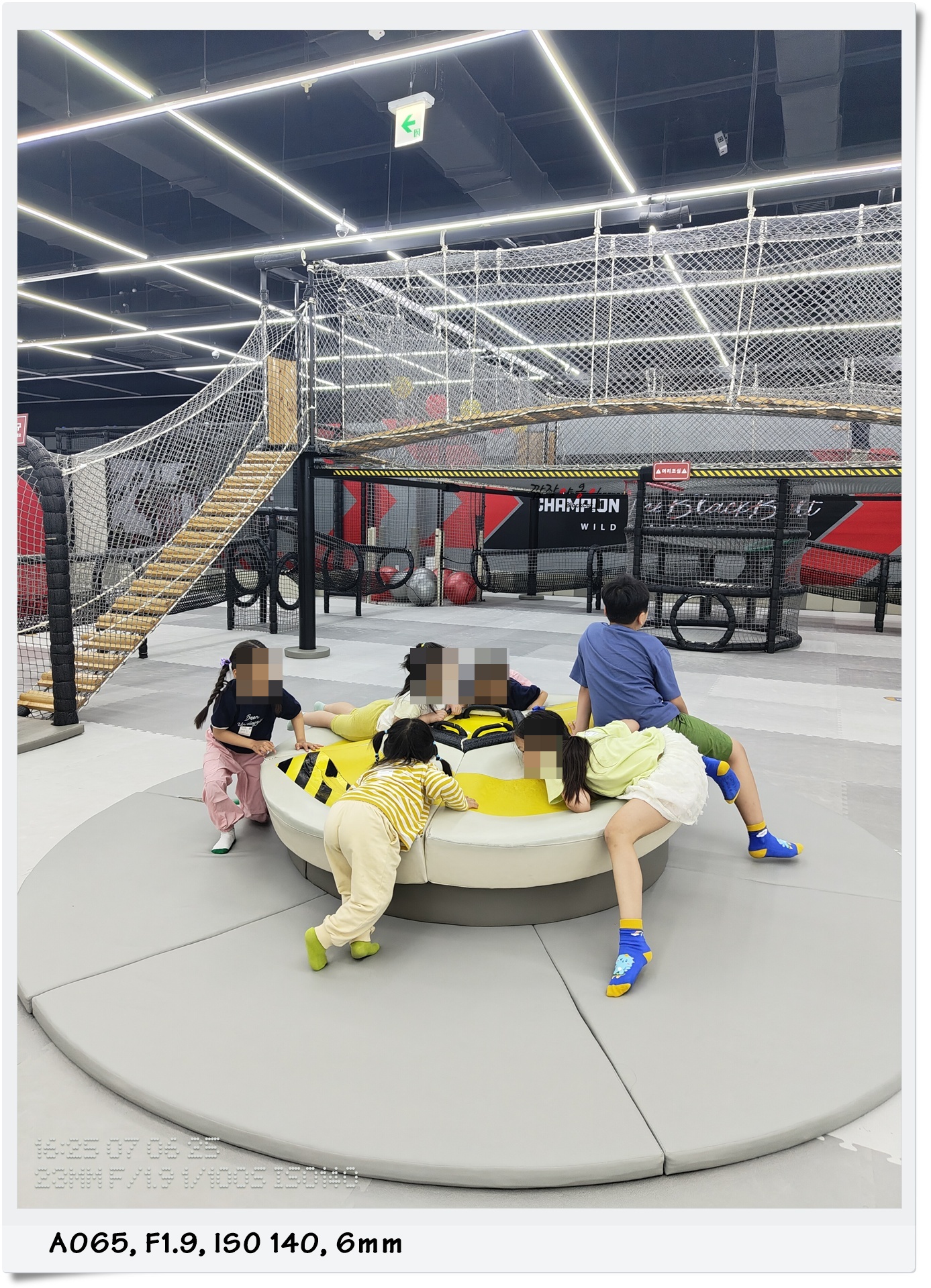 챔피언 더 블랙벨트 롤린롤린