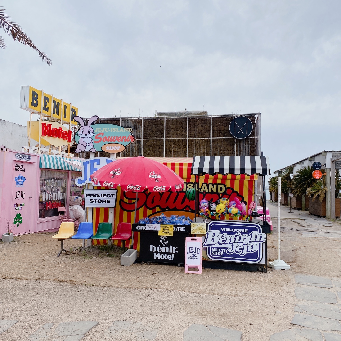 노티드 도넛 제주 애월 핫플레이스 우유크림 도넛 Knotted JEJU