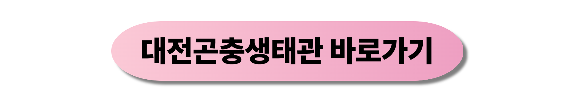 대전곤충생태관 반딧불이 불빛 체험