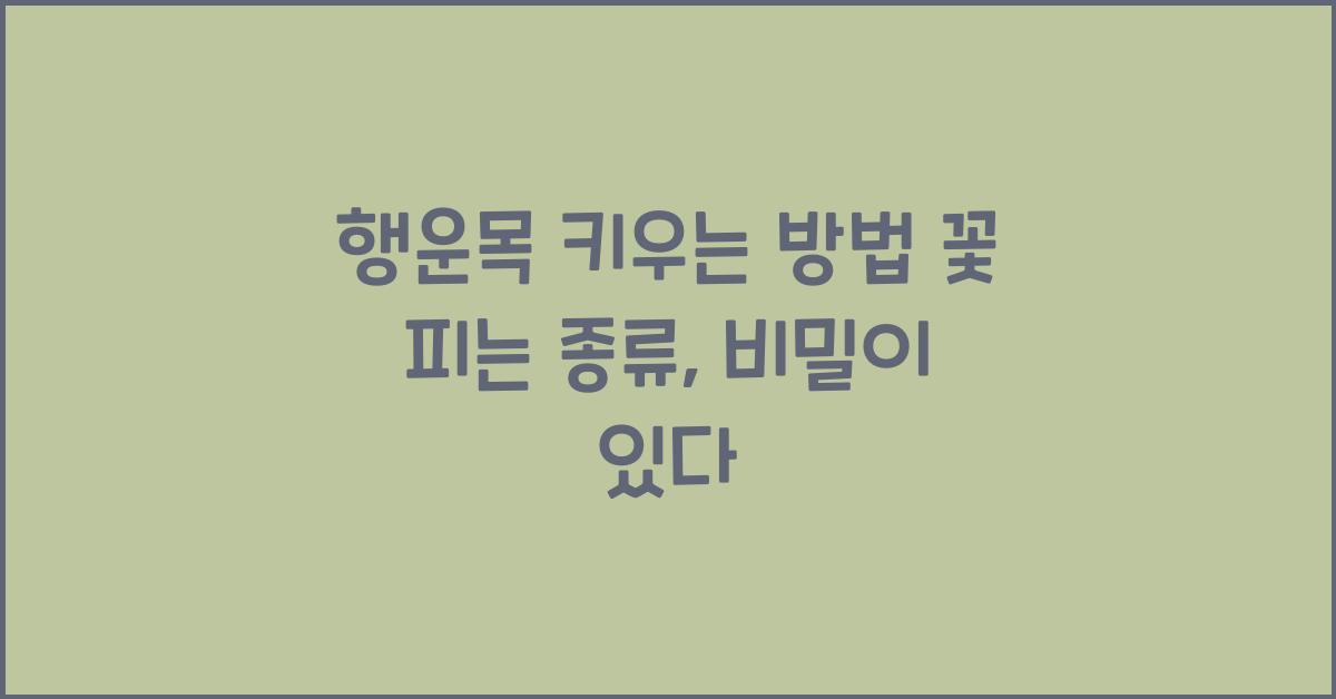 행운목 키우는 방법 꽃 피는 종류