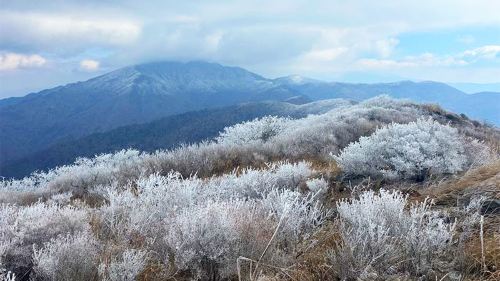 전남 겨울 명소 추천, 자연&middot;설경&middot;섬&middot;트레킹 BEST 4