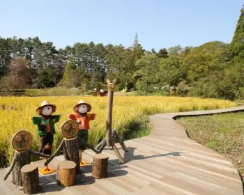 천리포수목원 가을축제_1