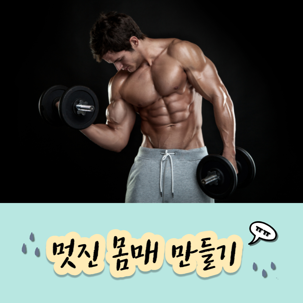 멋진몸매만들기 근력운동 유산소