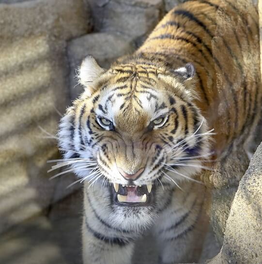 네이처파크-대구-가볼만한곳-추천