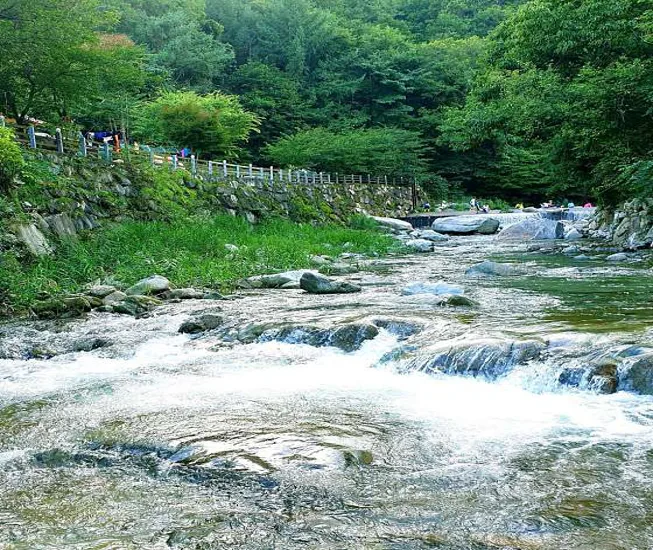 계곡메사오토캠핑장펜션