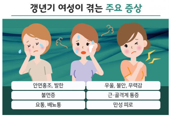 갱년기