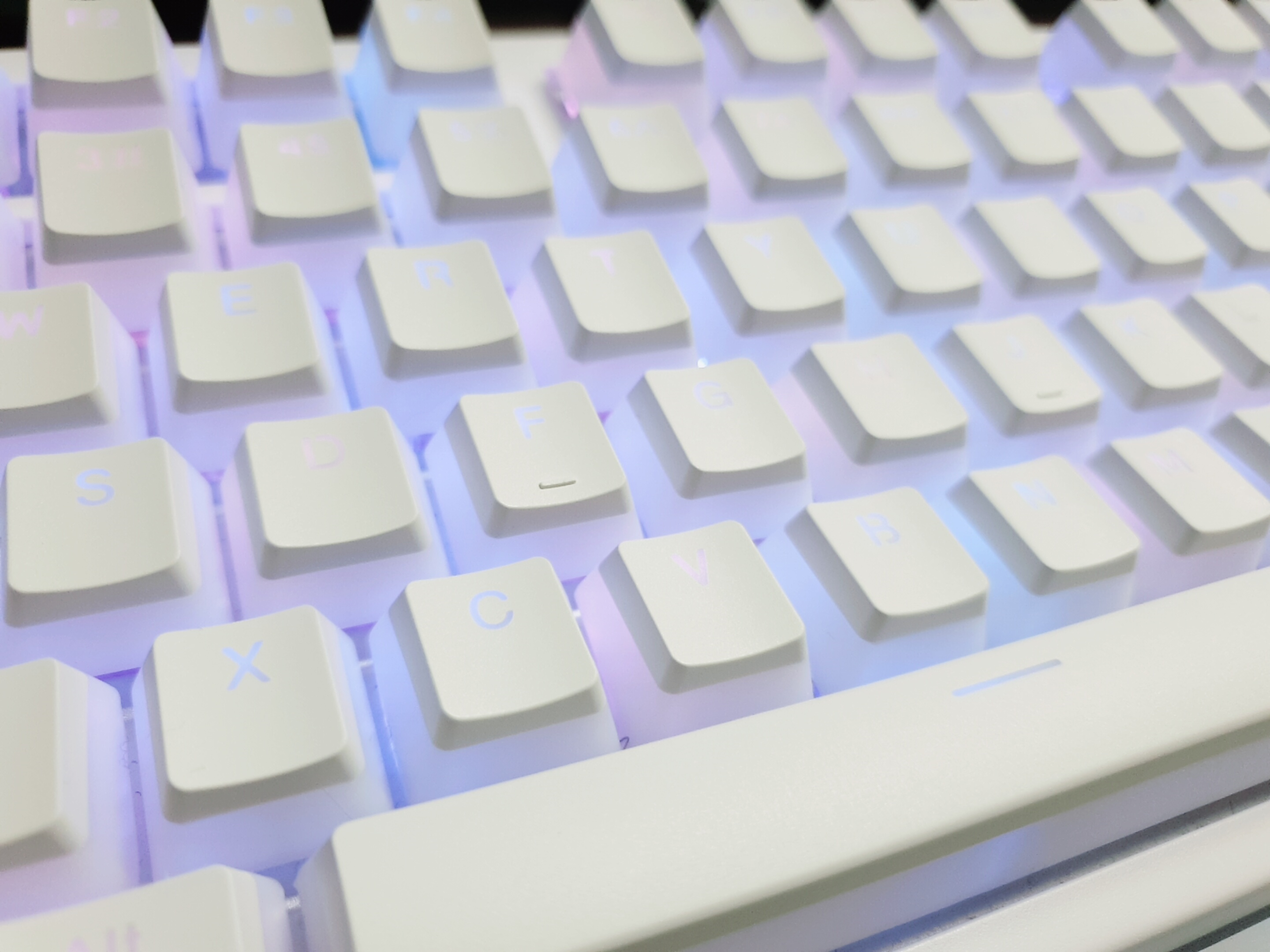 콕스 엠프리스 무접점 + 푸딩 키캡 🍮