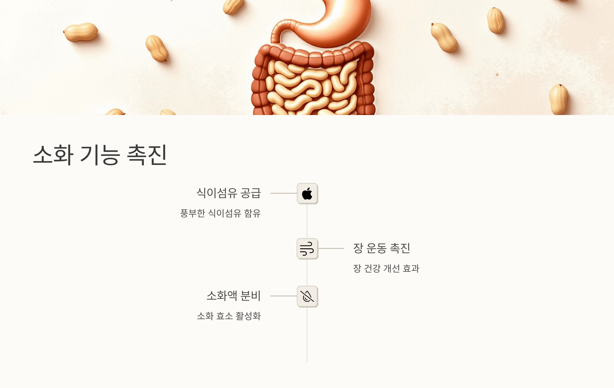 땅콩 사진입니다.