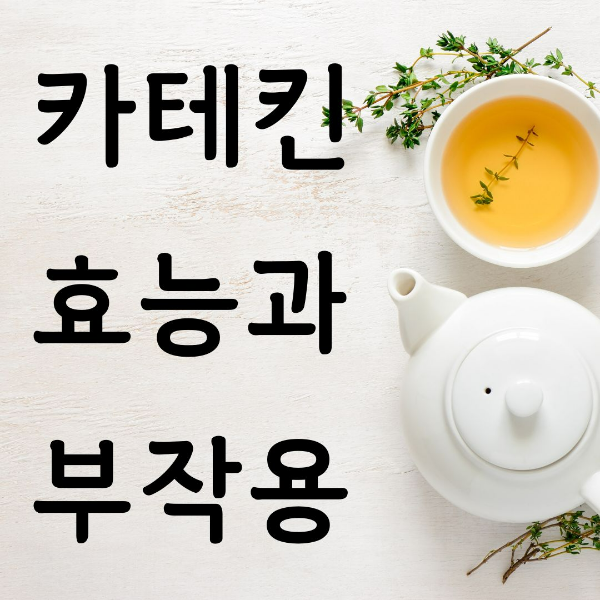 카테킨 효능과 부작용