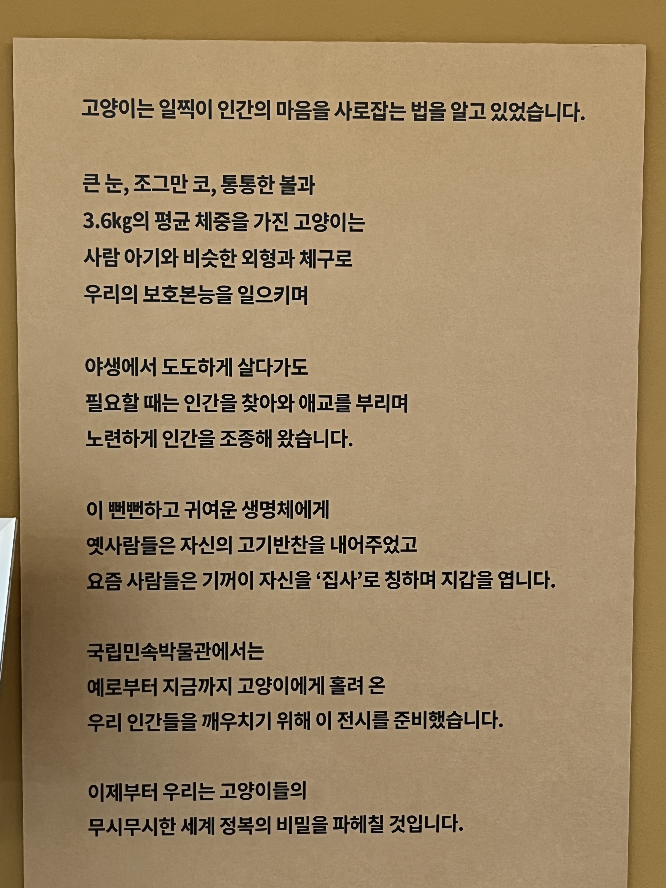 요물 우리를 홀린 고양이