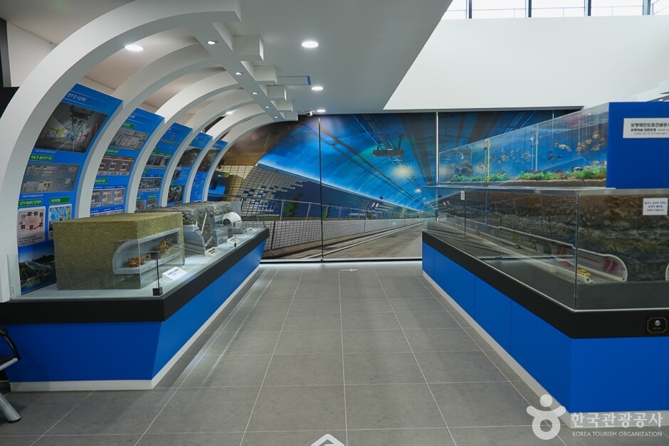 보령 가볼만한곳 베스트 10