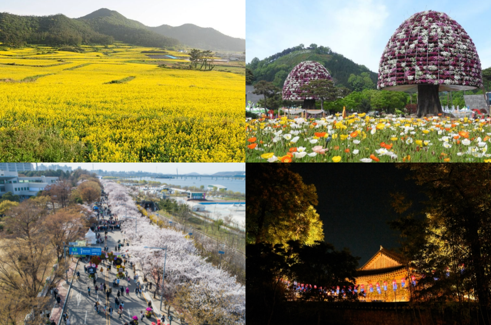4월 축제 가볼만한 곳