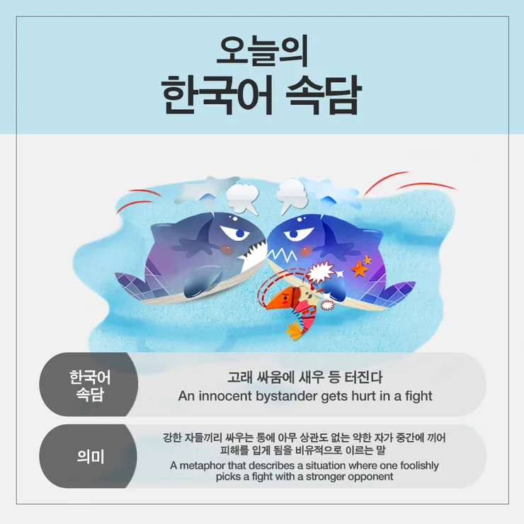 고래 싸움에 새우등 터진다 뜻과 속담 영어 표현 안내집_1