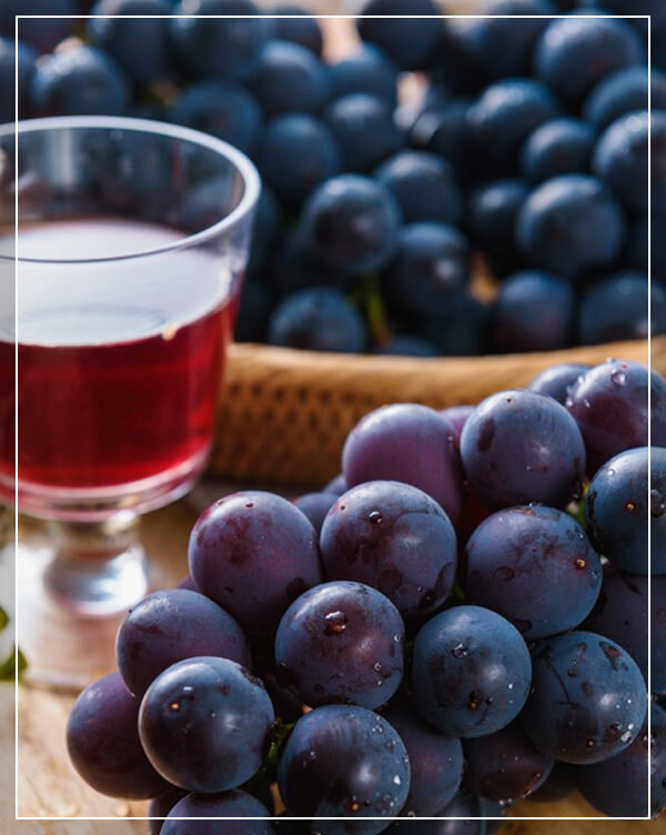 포도주-담그는-방법