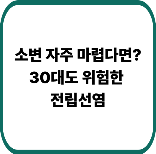 전립선염 증상 총정리 : 30대 남성 환자가 가장 많은 이유