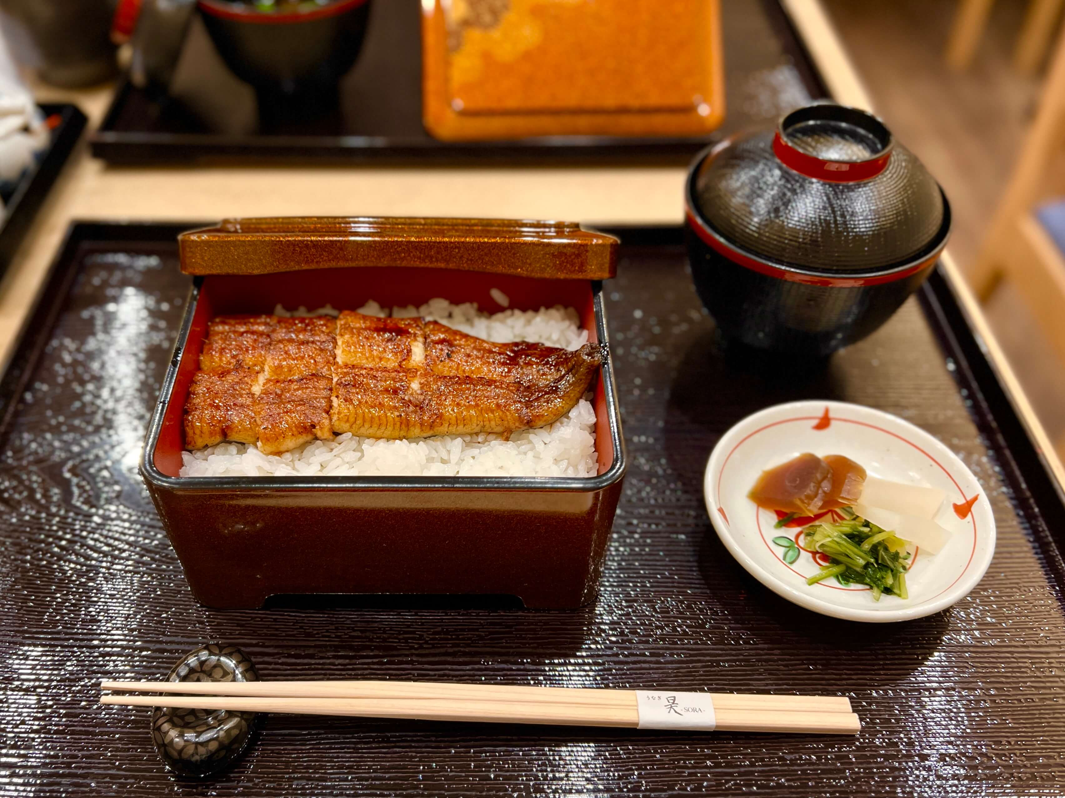 sora-rice-with-grilled-eel