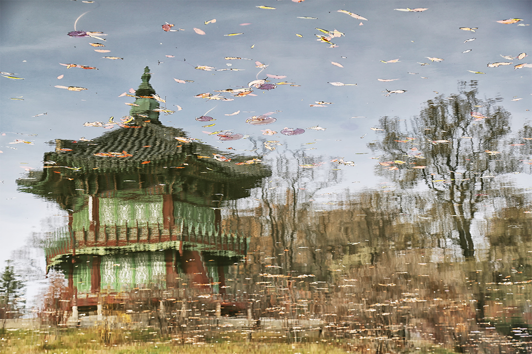 물에 비친 정자 반영 저작권 없는 고화질 무료 이미지 다운로드