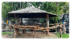 치앙마이 나이트 사파리