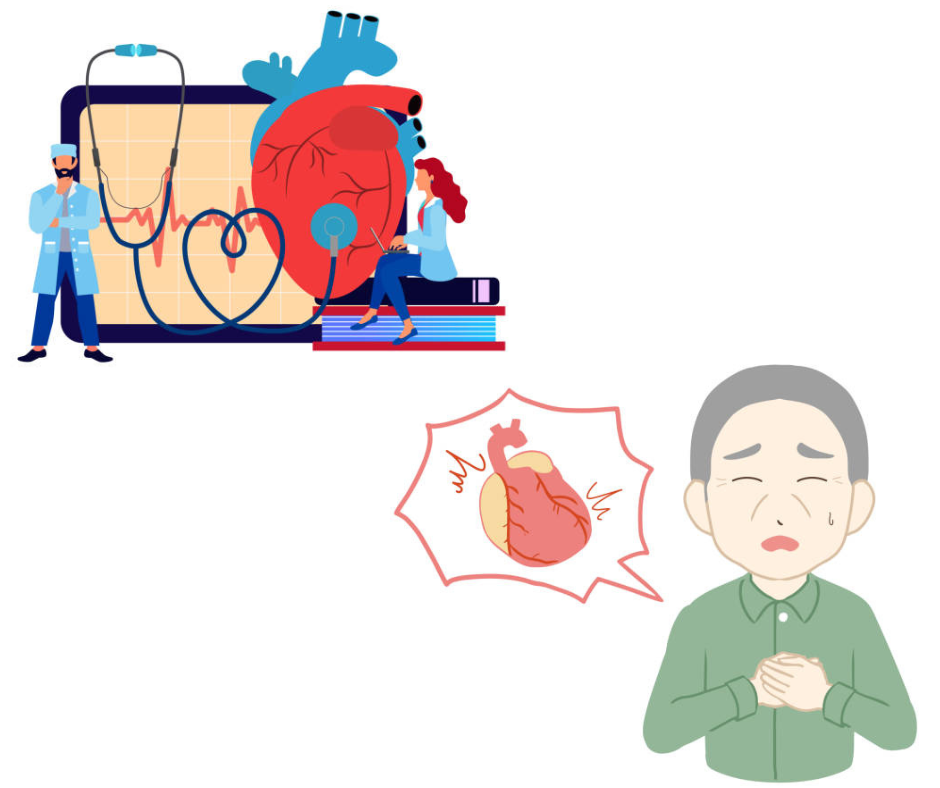 타우린 효능 혈관 건강