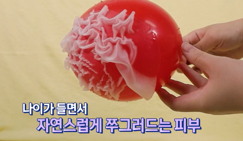 세리포리아