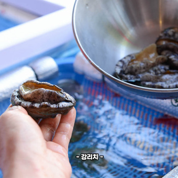 전복 손질하는 법