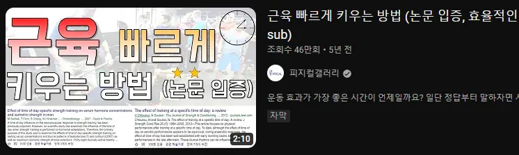 논문 운동 근육