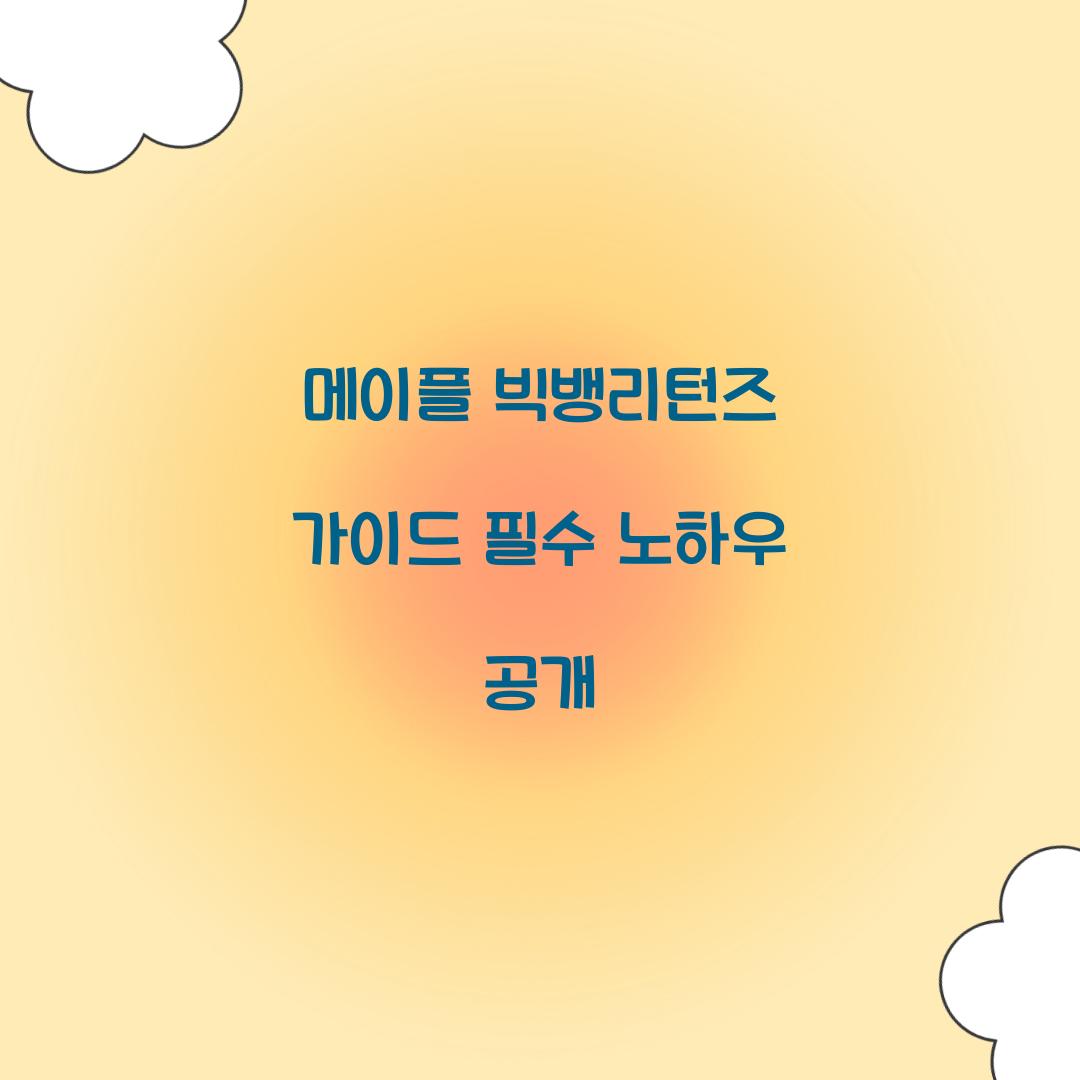 메이플 빅뱅리턴즈 가이드