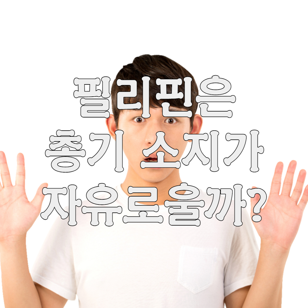 필리핀에서 총기 소유는 자유