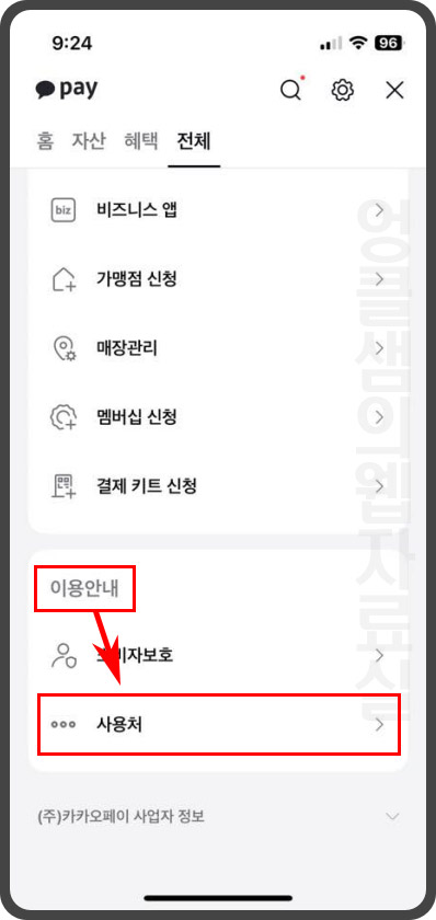 카카오페이 사용처