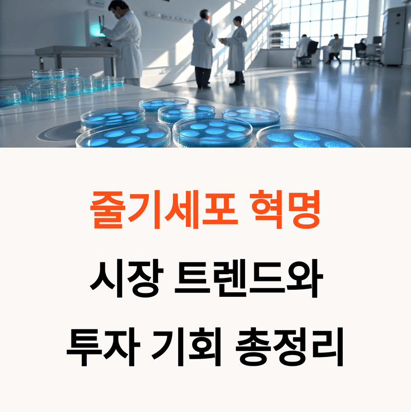 줄기세포 관련주 및 시장 현황