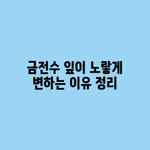 금전수 잎이 노랗게 변하는 이유 정리