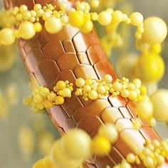 머리카락 굵어지는 방법 3가지 머리숱 많아지는법