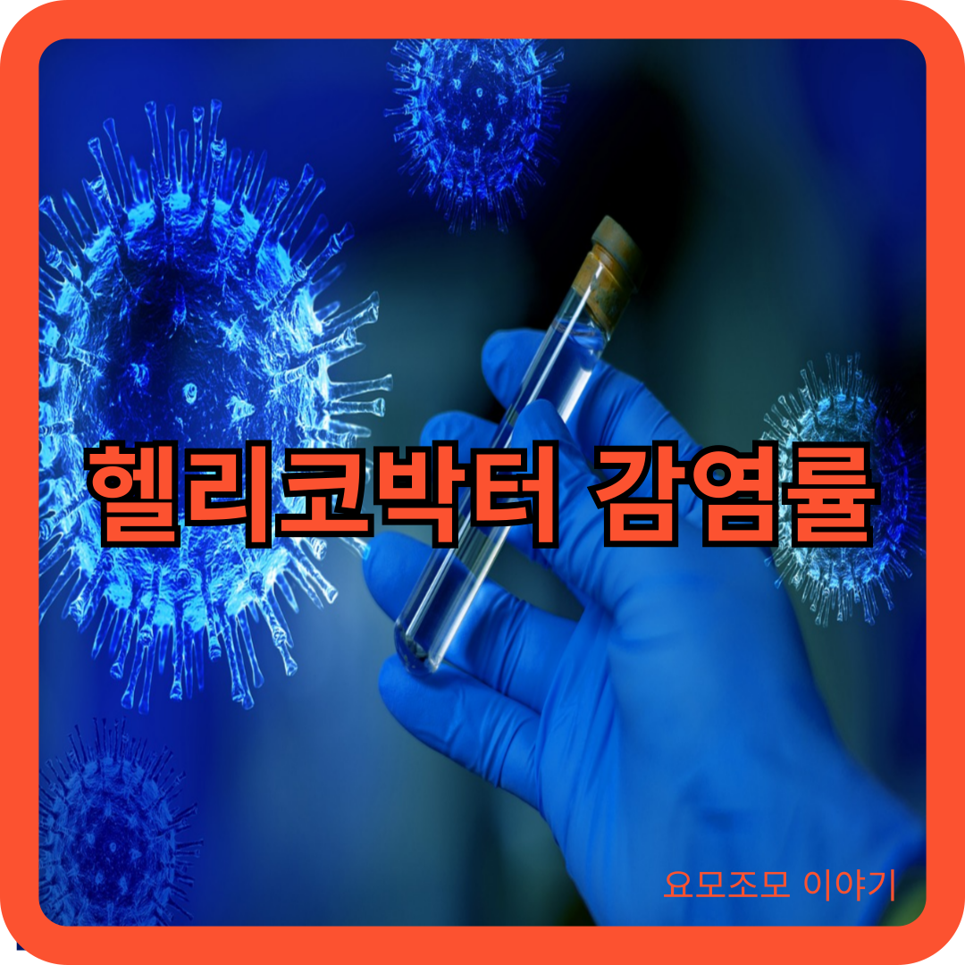 헬리코박터-감염률-감염-가능성